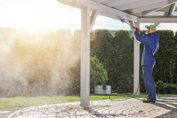 Best Sidewalk and Walkway Cleaning  in Santa Paula, CA