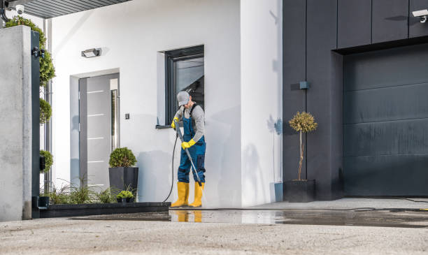  Santa Paula, CA Pressure Washing Pros